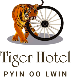 logo2